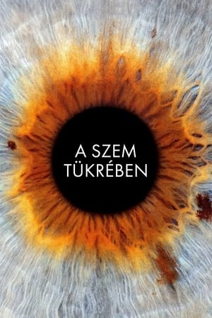 A szem tükrében