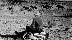 Six Black Horses háttérkép