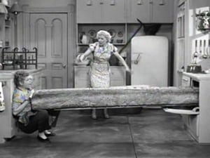 I Love Lucy Season 1 Ep.25 25. epizód