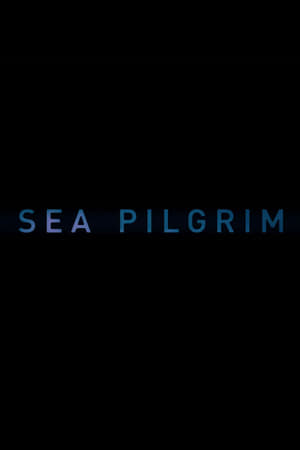 Sea Pilgrim