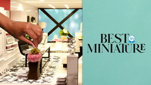 Best In Miniature kép