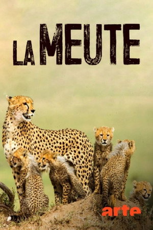 La Meute : Cinq guépards dans le Serengeti poszter