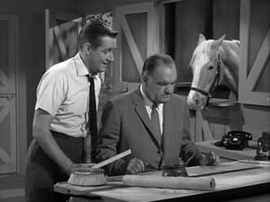 Mister Ed 2. évad Ep.16 16. epizód