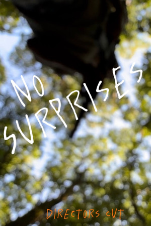 No Surprises poszter