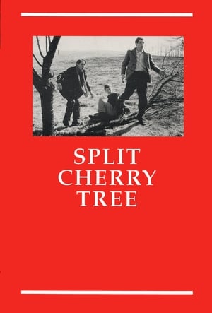 Split Cherry Tree poszter