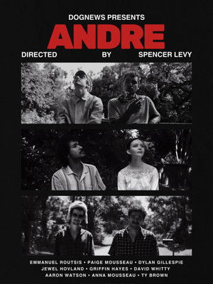Andre poszter