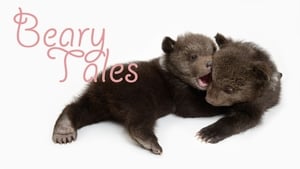 Beary Tales háttérkép