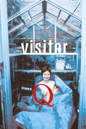 Visitor Q poszter