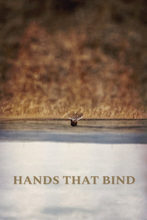 Hands That Bind poszter