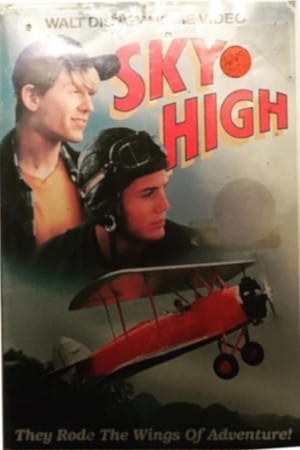 Sky High poszter