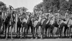 Indian Scene of Procession háttérkép