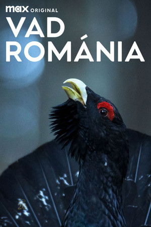 Vad Románia