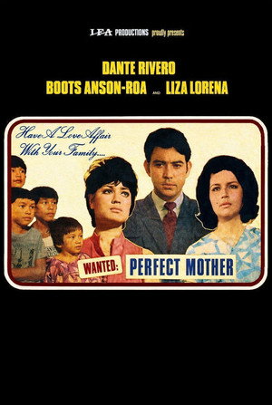 Wanted: Perfect Mother poszter