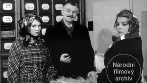 Dívka s třemi velbloudy háttérkép
