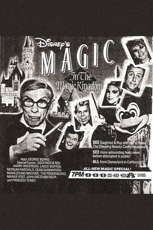 Disney's Magic in the Magic Kingdom poszter