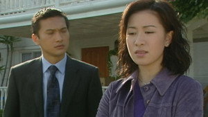 刑事偵緝檔案 4. évad Ep.22 22. epizód
