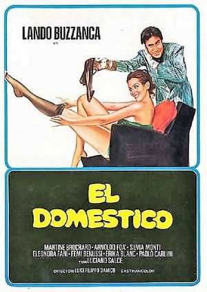 Il domestico poszter