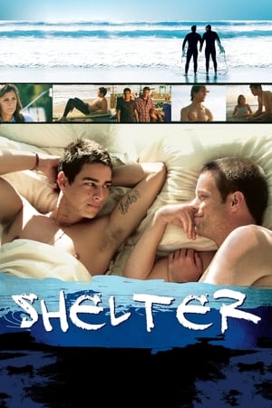 Shelter poszter