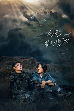 白色橄榄树 poszter