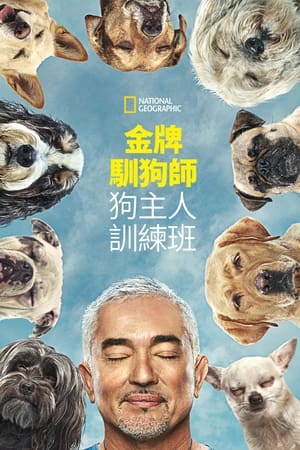 Cesar Millan: Jó gazdi, jó kutya poszter