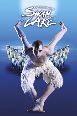 Matthew Bourne's Swan Lake poszter