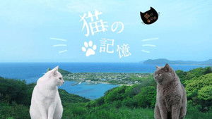 糸島映画 猫の記憶 háttérkép