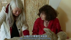 Pompeii: Új titkok feltárása háttérkép