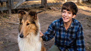 Lassie: Well of Love háttérkép
