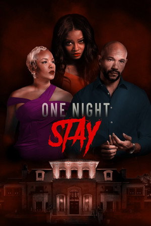 One Night Stay poszter