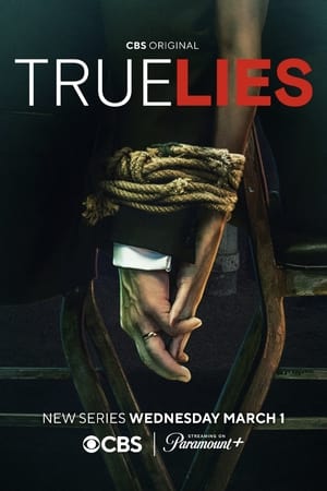 True Lies - Két tűz között poszter