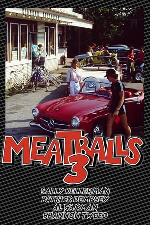 Meatballs III: Summer Job poszter