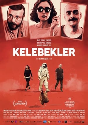 Kelebekler poszter