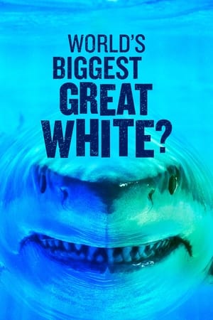 World's Biggest Great White? poszter