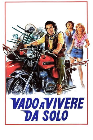 Vado a vivere da solo poszter