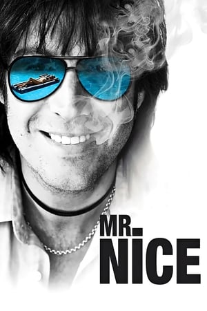 Mr. Nice poszter