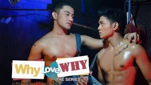 Why Love Why The Series kép