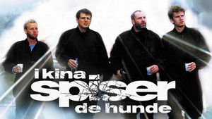 Kínában kutyát esznek háttérkép