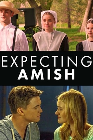 Expecting Amish poszter