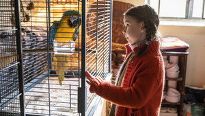 Kommt ein Vogel geflogen háttérkép