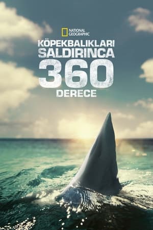 Cápák a strandon 360 poszter