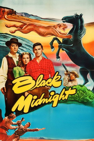 Black Midnight poszter