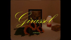 Girassol háttérkép