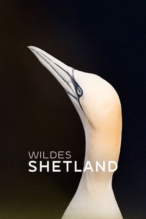 Wild Shetland: Scotland's Viking Frontier poszter