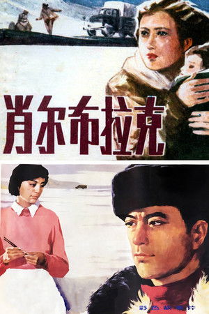 肖尔布拉克 poszter