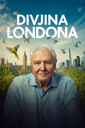 Vad London poszter