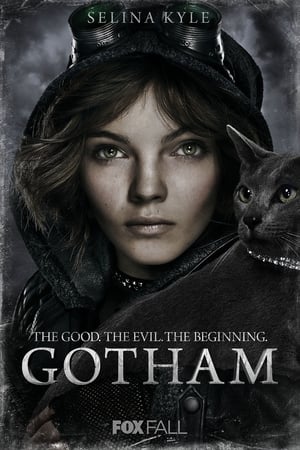 Gotham poszter