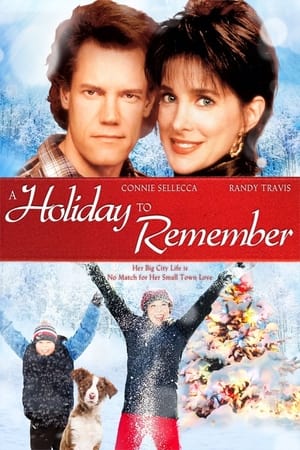 A Holiday to Remember poszter