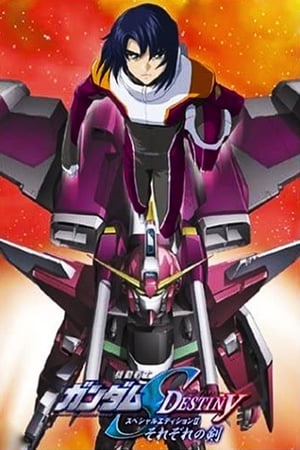 機動戦士ガンダムSEED DESTINY スペシャルエディション 2