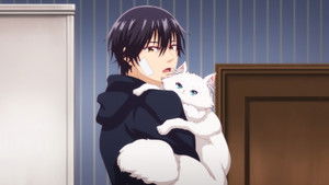ヴァンパイア男子寮 1. évad Ep.8 8. epizód