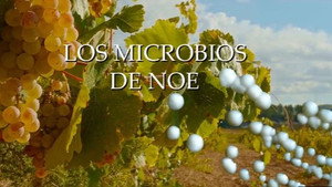 Planeta Microbio 1. évad Ep.6 6. epizód